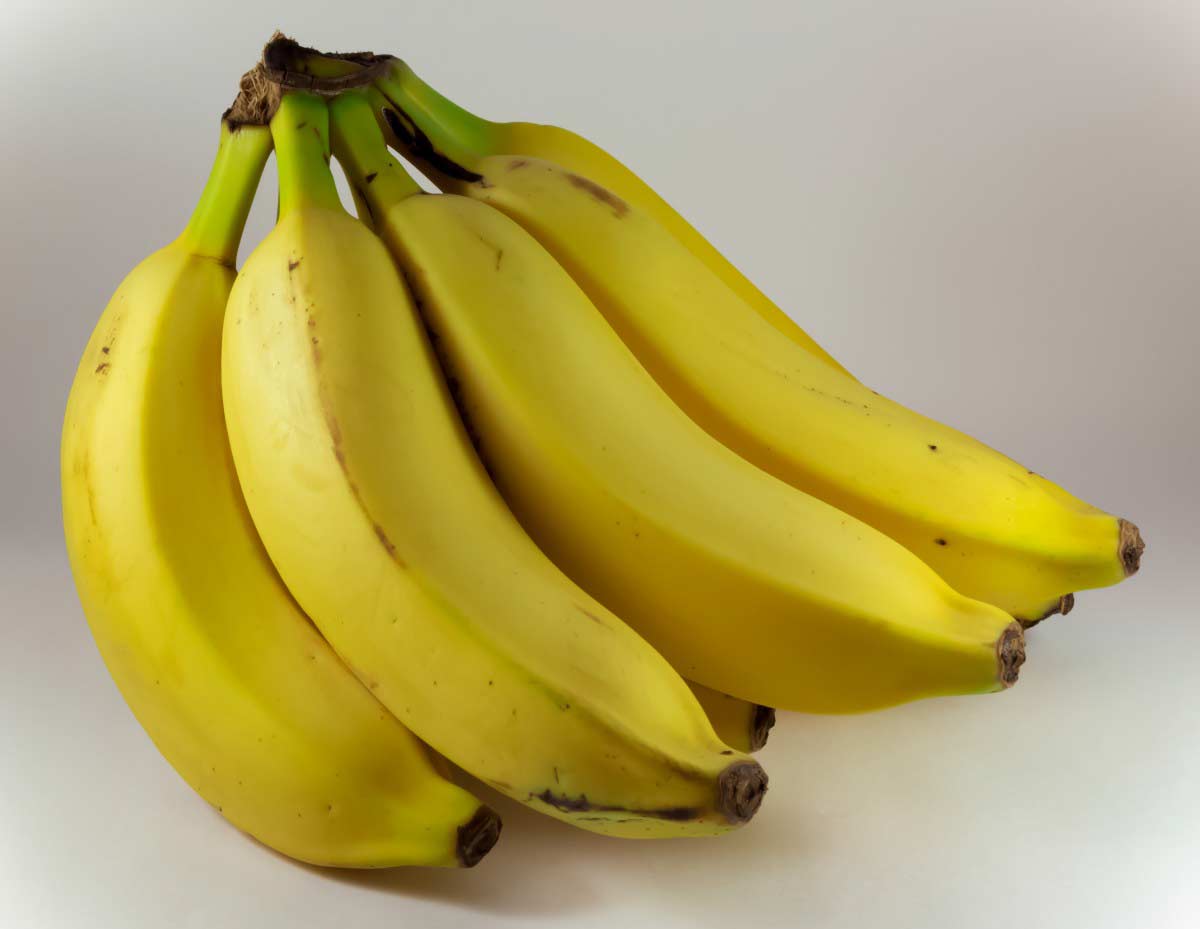 20 benefits of eating bananas nutrition recipes side effects how