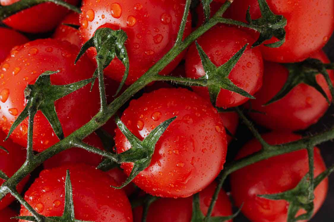 Steps on How to Preserve Ripe Tomatoes at Home How To Ripe