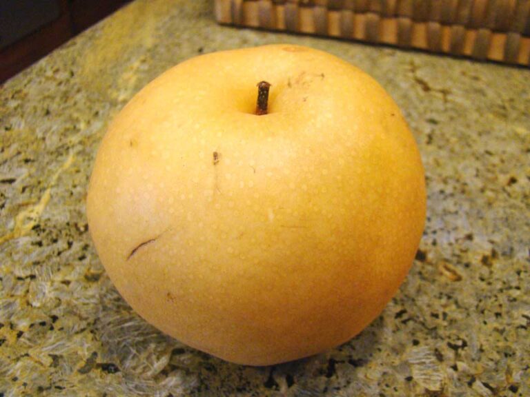 When are Asian pears ripe