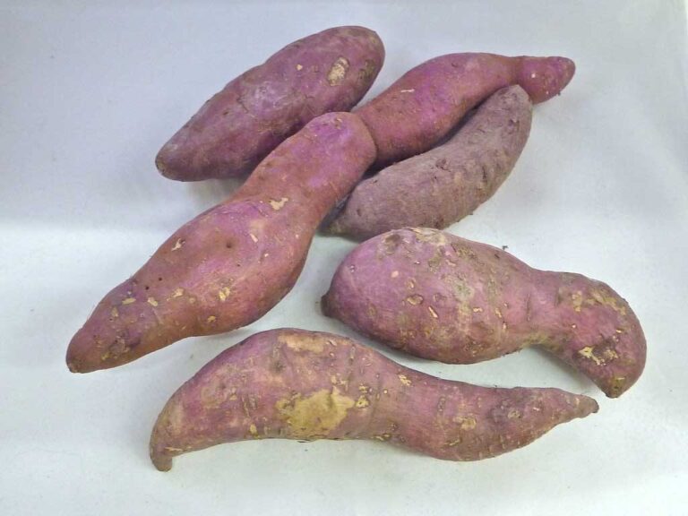 benefits of eating a sweet potato