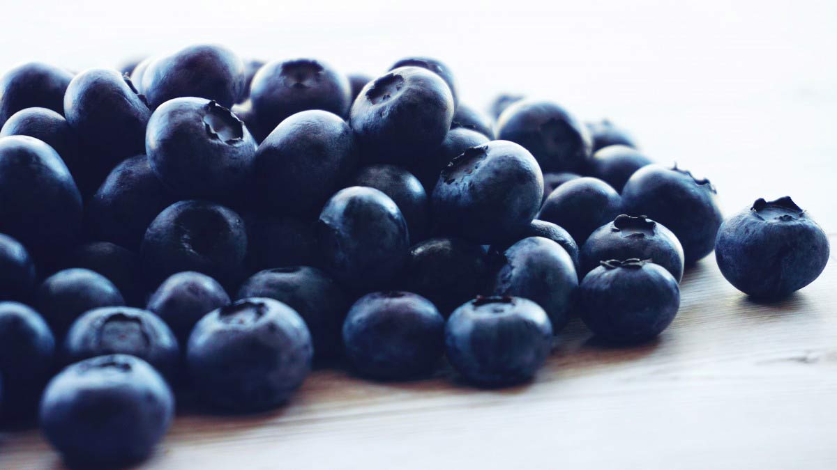 16 Health Nutrition Benefits of Eating Blueberries Side Effects How To Ripe