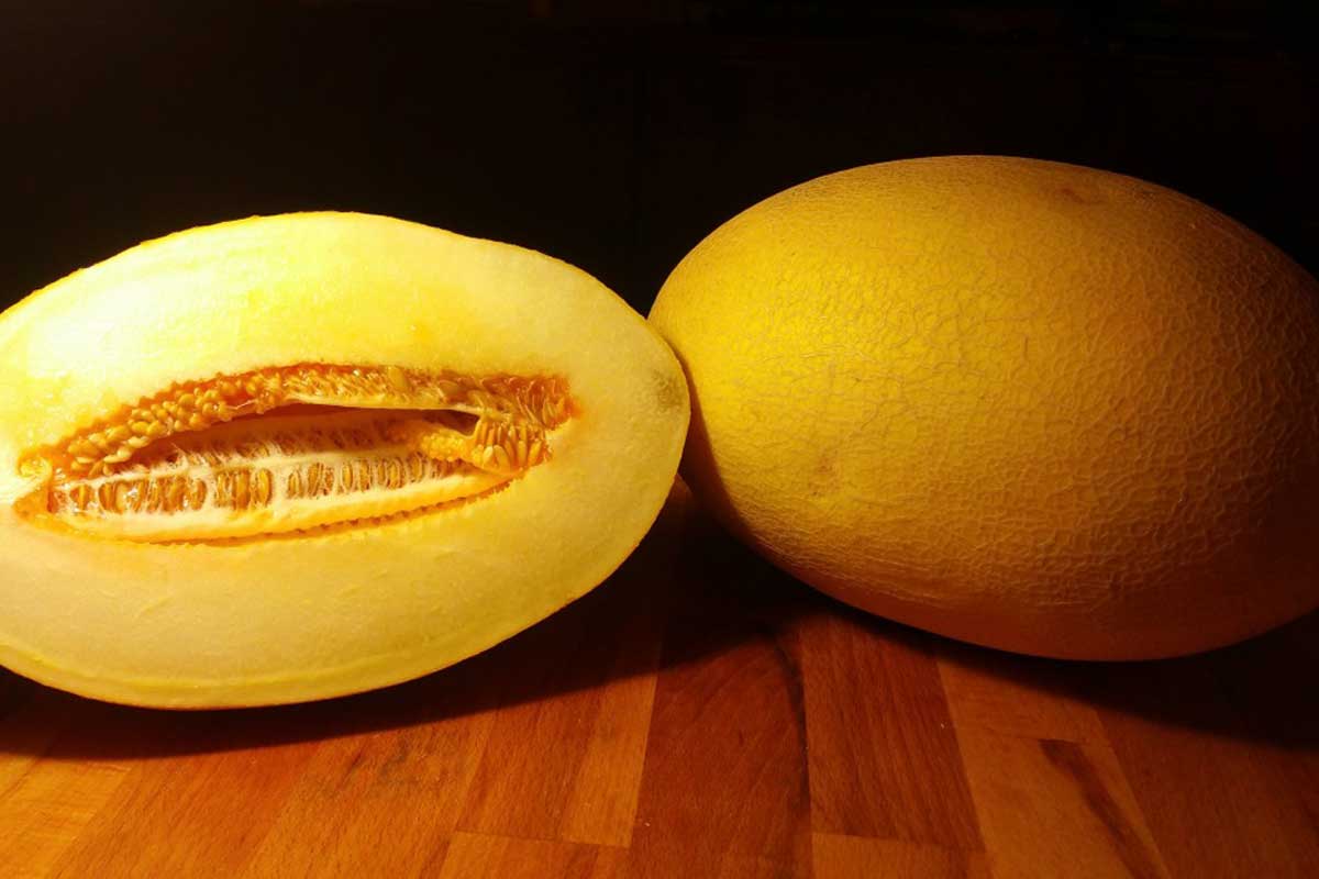 17 Health Benefits of Eating Cantaloupe, or Muskmelon Daily How To Ripe