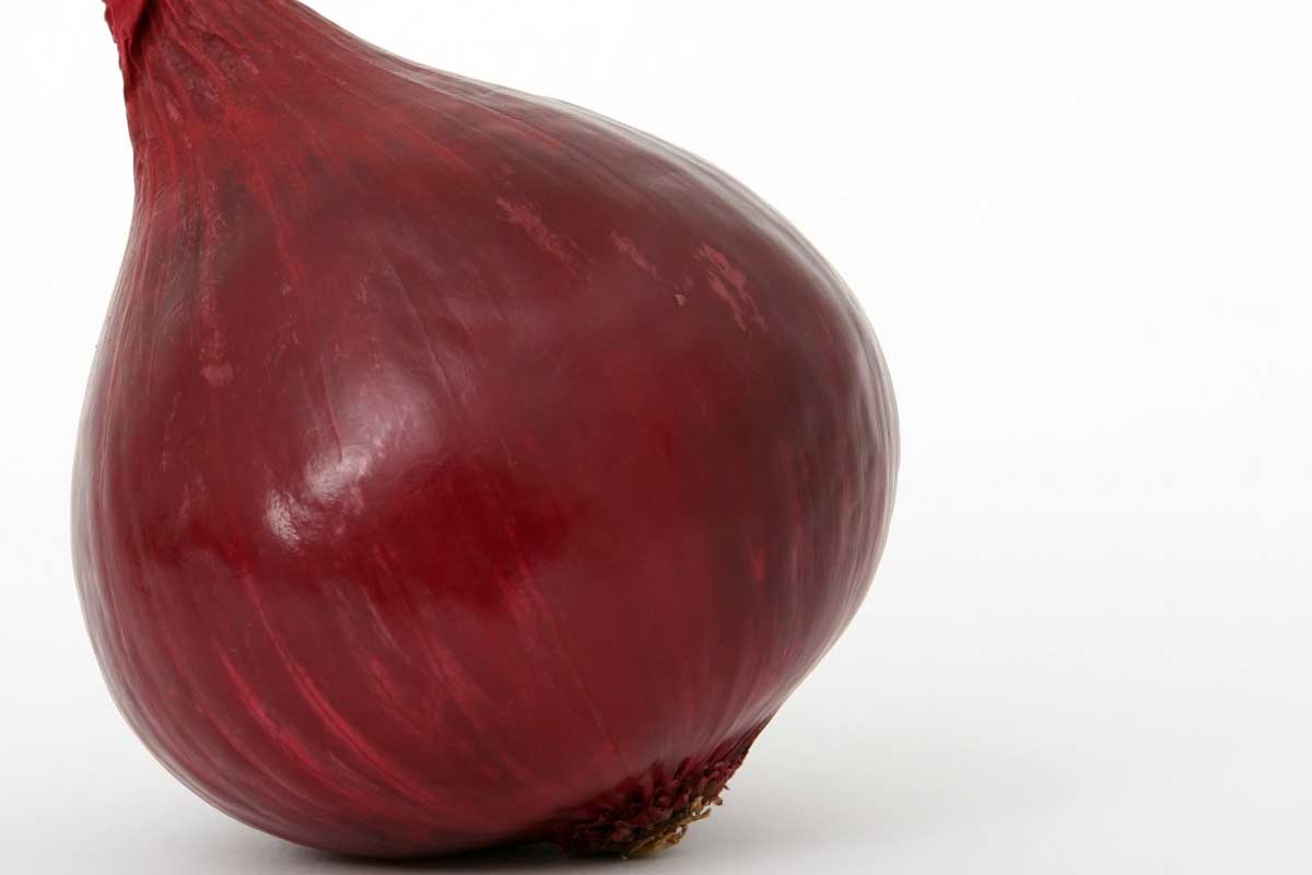 13 Scientifically Proven Health Benefits of Eating Shallots How To Ripe