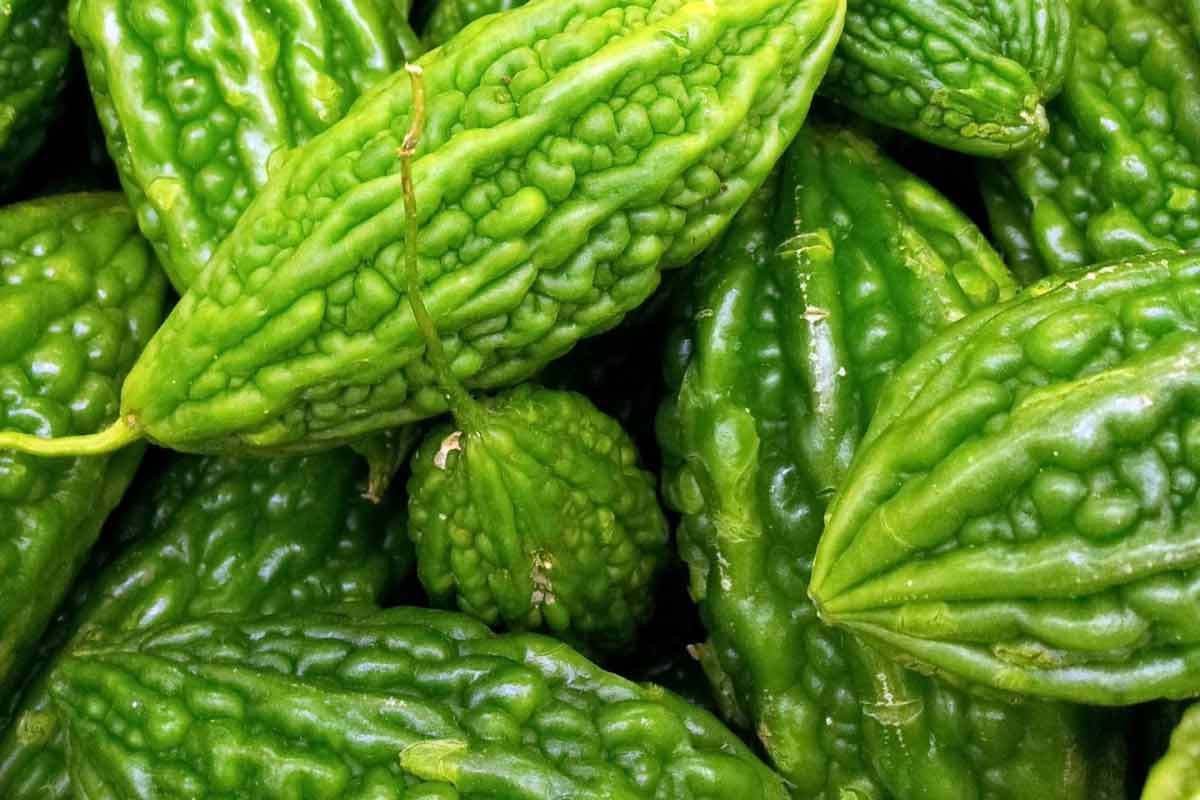 20 ScienceBacked Health Benefits of Bitter Gourd How To Ripe