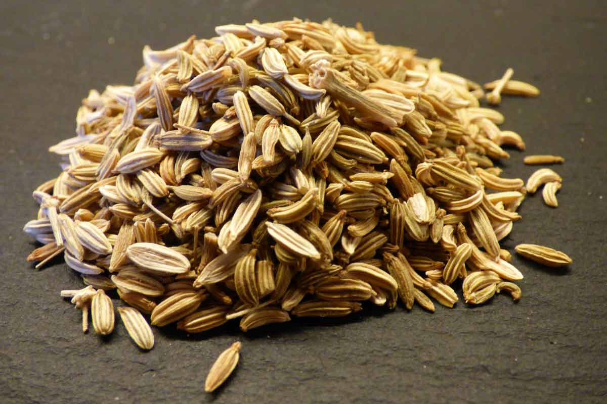 20 ScienceBacked Health Benefits of Caraway Seed How To Ripe