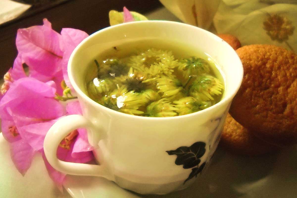 14 Proven Health Benefits of Chrysanthemum Tea How To Ripe