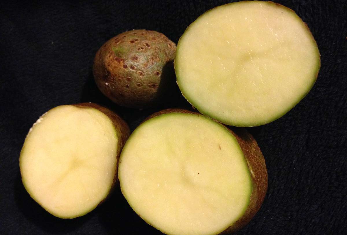 10 ScienceBacked Health Benefits of Green Potatoes How To Ripe