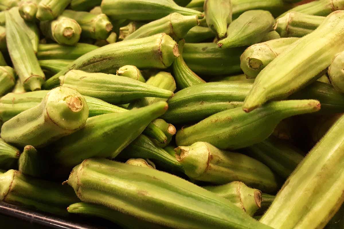 21 Health Benefits of Okra, Ladies' Fingers or Ochro How To Ripe