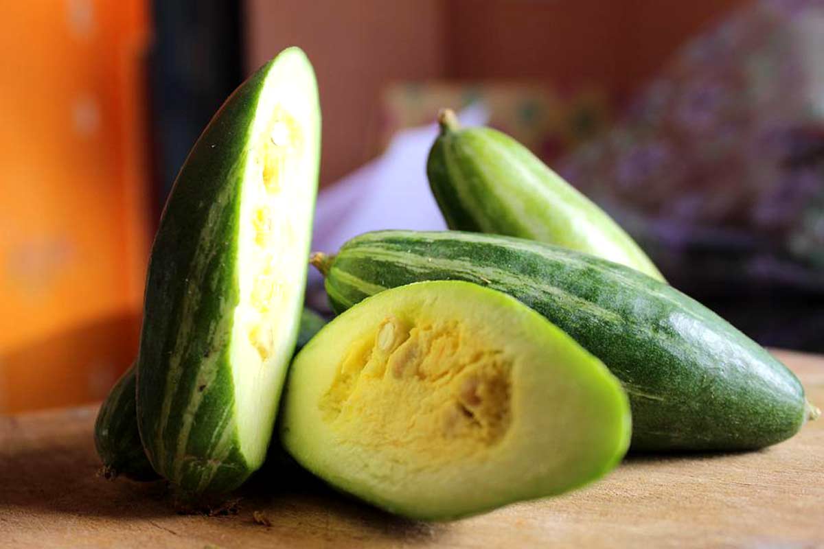 16 Proven Health Benefits of Eating Pointed Gourd or Parwal How To Ripe