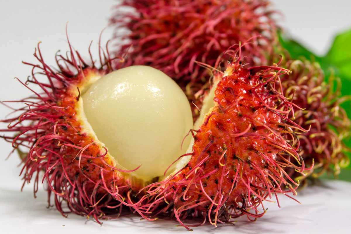 16 ScienceBacked Health Benefits of Rambutan How To Ripe