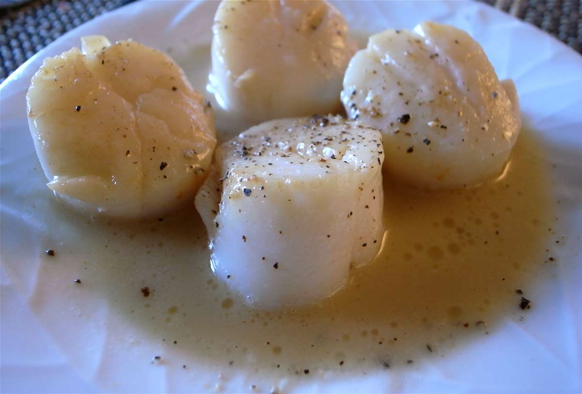 25 ScienceBacked Health Benefits of Delicious Scallops How To Ripe