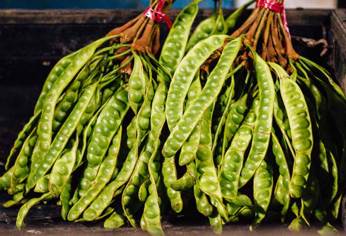 20 Eating Petai Beans Proven Health Benefits How To Ripe